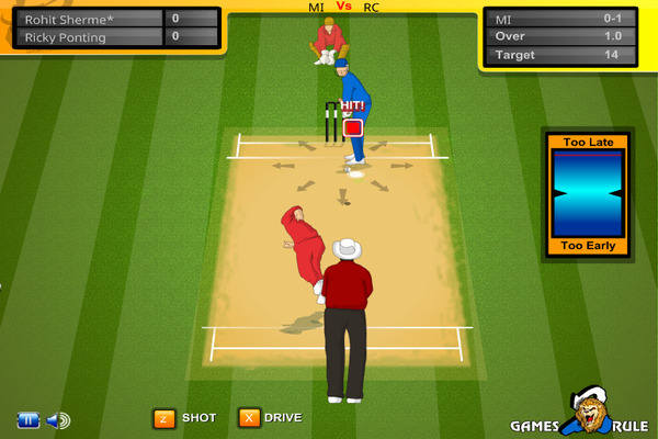 Play IPL Cricket 2013